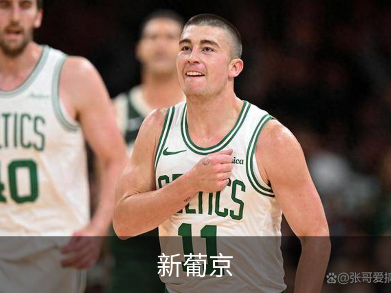 了解新葡京
